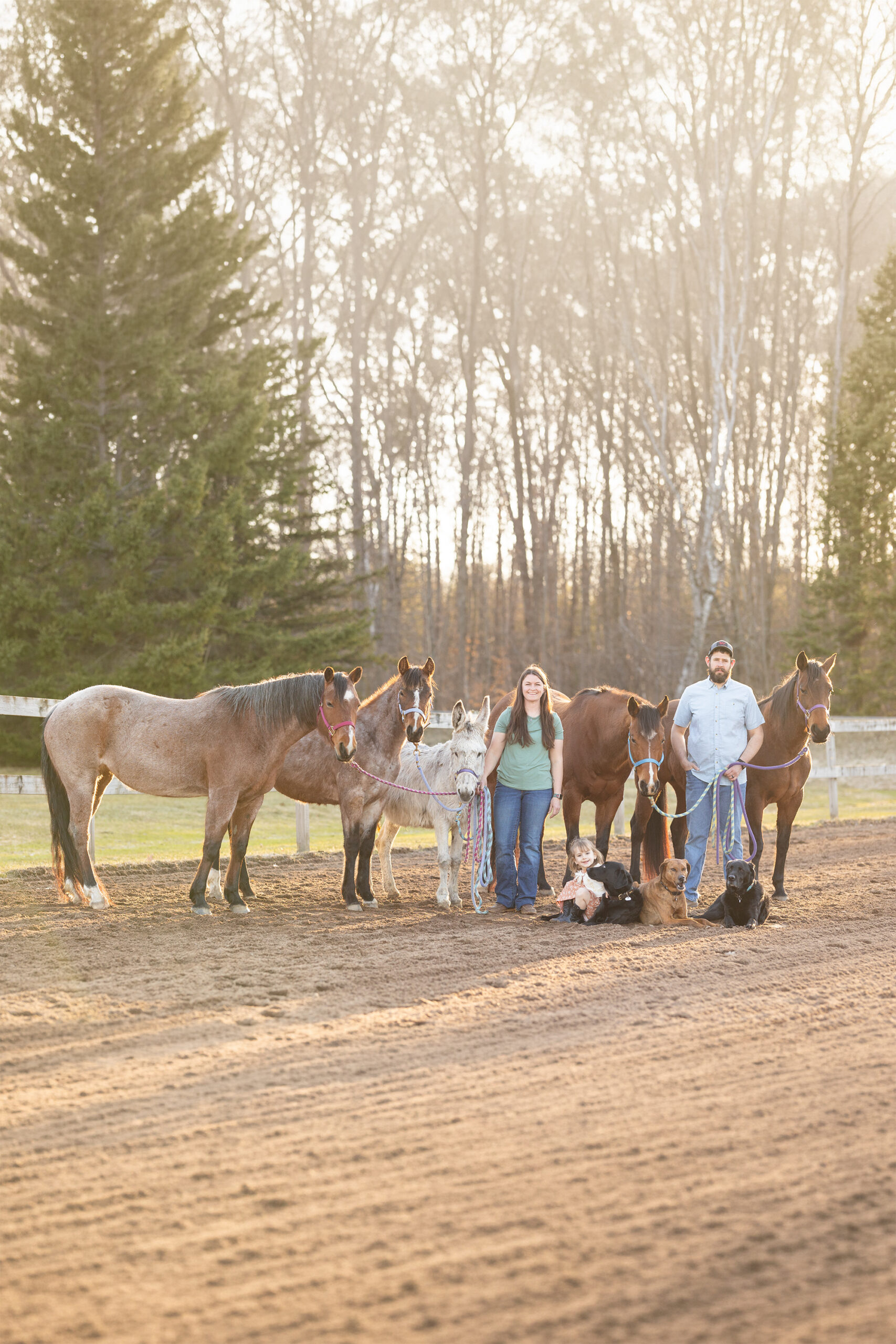 spring family photos with horses
